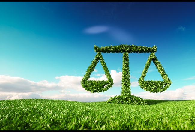 Das Bild einer Waage, die aus Bäumen besteht