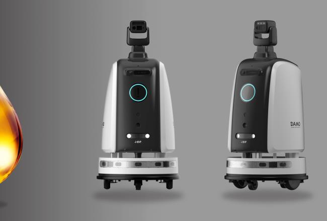 Alibaba DAMO Robot Case Study