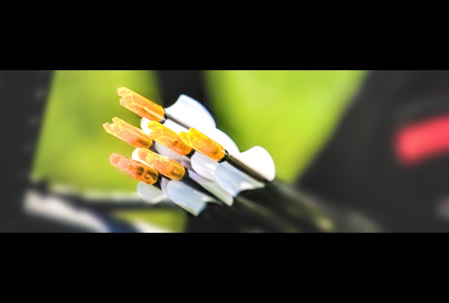 三十多年来,Werner Beiter一直依赖模克隆® 2805制造优质箭扣。