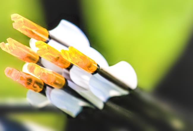 Forover three decades,Werner Beiter has relied on Makrolon® 2805 to manufacture premium arrow nocks.
