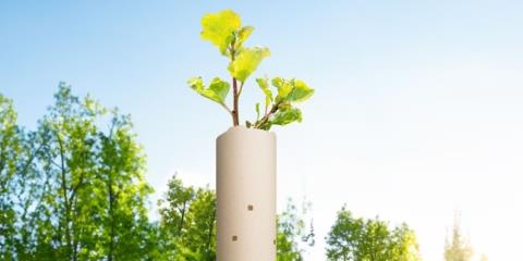 Sachsenröder 树木保护罩