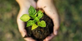 eu green deal hands plant