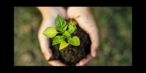 eu green deal hands plant