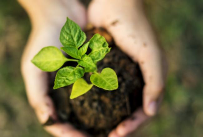 eu green deal hands plant