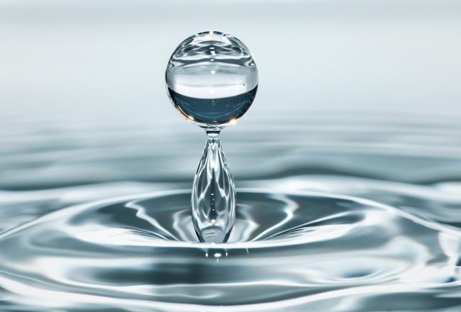Our raw materials for waterborne coatings combine performance and sustainability.