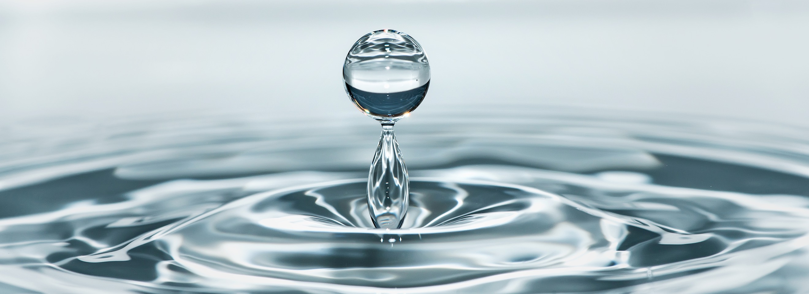 Waterborne adhesives Technology by Covestro Covestro