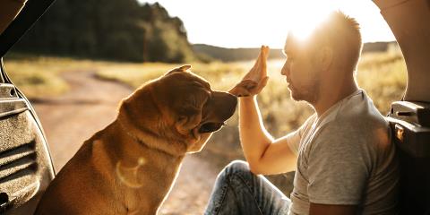 Automotive interior Solutions Campaign_Load Floor_Key Visual