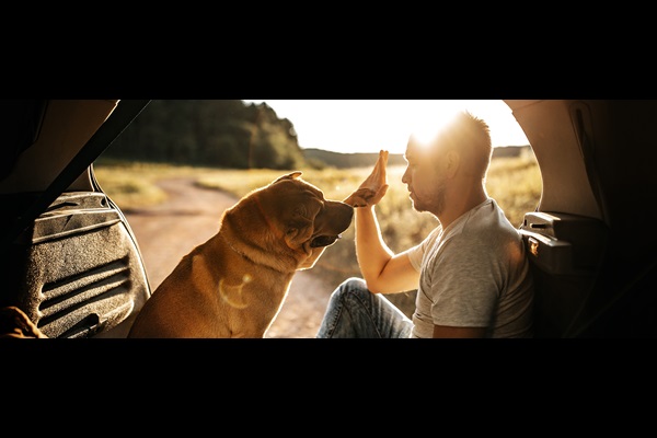 Automotive interior Solutions Campaign_Load Floor_Key Visual