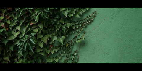 Chenyang_Header