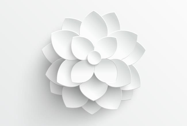 Desmodur® white allows unfading support for foam makers and lingerie designers