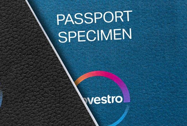 Three different passports