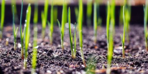 可生物降解及更多优势