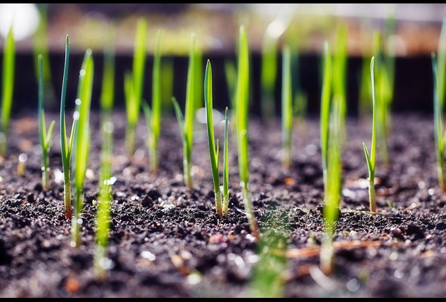 Biodegradability & beyond