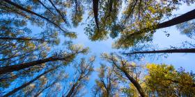 Innovating for a Sustainable Future