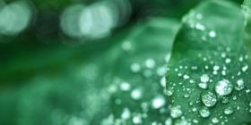 dsm-why-choose-decovery-plant-based-resin