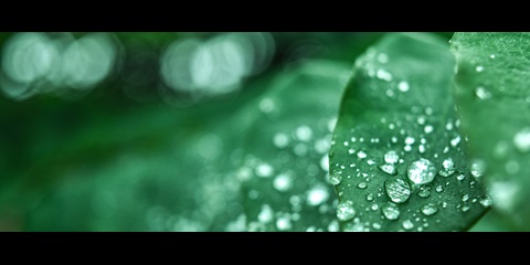 dsm-why-choose-decovery-plant-based-resin