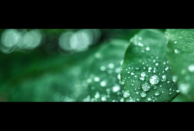 dsm-why-choose-decovery-plant-based-resin