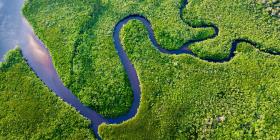 Leading the Circular Economy Transition: A Business Guide