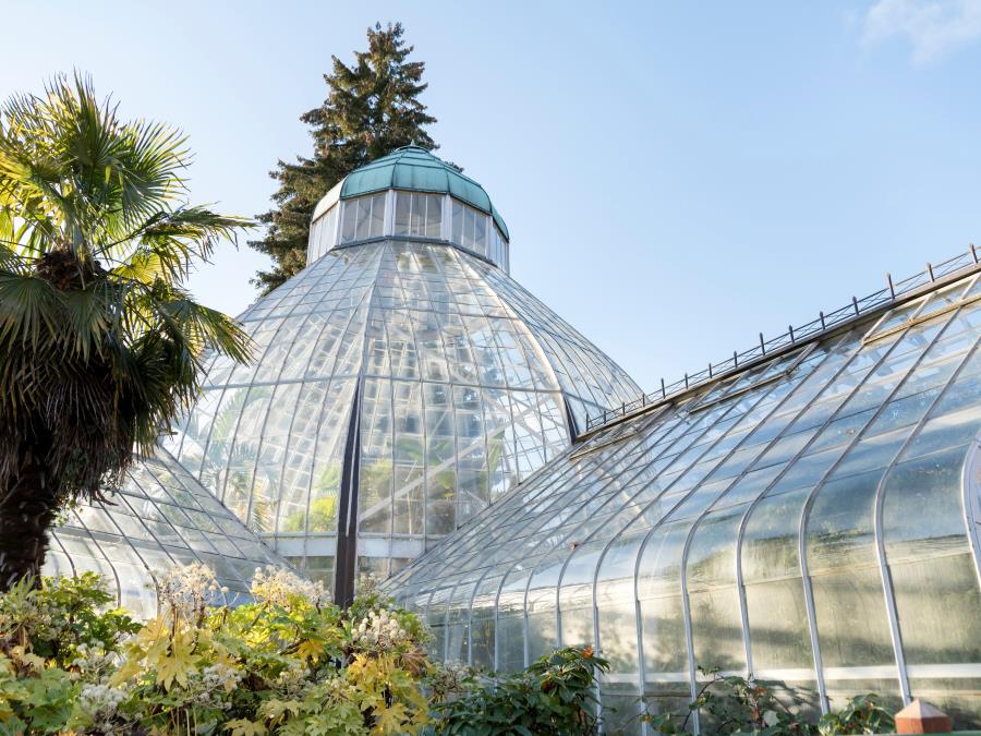 Modern greenhouse constructed with transparent polycarbonate sheets.