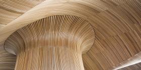 Ceiling details of Welsh Assembly Government Building. Reflecting the forms of a sandy beach.
