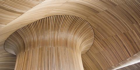 Ceiling details of Welsh Assembly Government Building. Reflecting the forms of a sandy beach.
