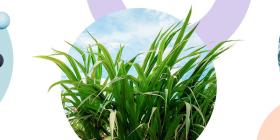 Circular Economy