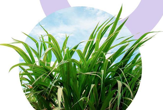 Circular Economy